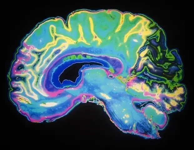 Brain Training Shows Promise for Depression Relief