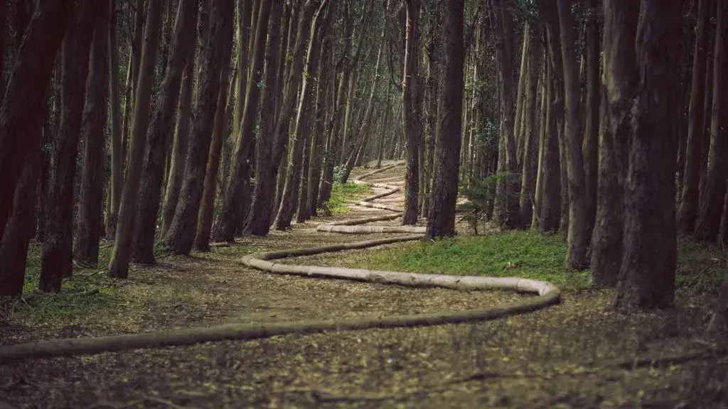 Breaking Free from Stubborn Mind Habits