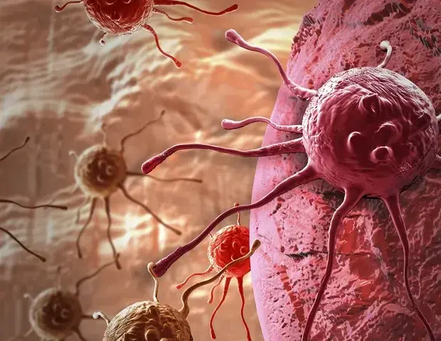 Colorectal Cancer Screening Significantly Reduces Mortality Risk