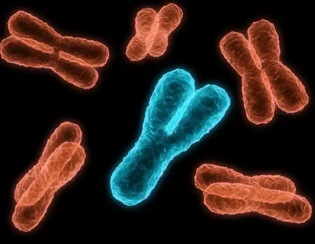 New Insight Could Sharpen Cancer Drug Design
