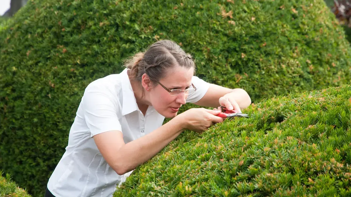 The Dual Nature of Perfectionism: A Double-Edged Sword