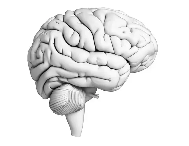 Prefrontal Cortex Signals Do Not Forecast How People Control Their Emotions