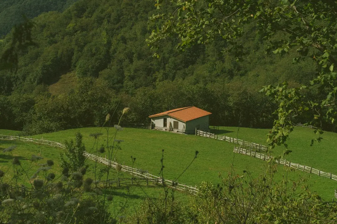 Rural China’s cultural landscapes and mental health